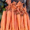 Comprar Zanahorias Frescas en 280 – La Bendición